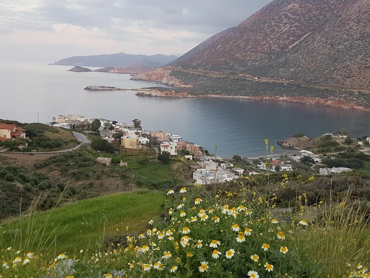 Sea Flower Villa Bali Crete Βλυχάδα Εξωτερικό φωτογραφία