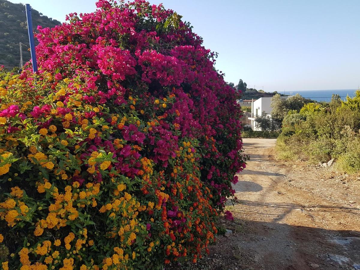 Sea Flower Villa Bali Crete Βλυχάδα Εξωτερικό φωτογραφία